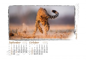 Caught In Action - 2019 - 9